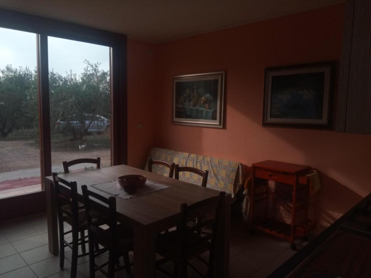 Degli Ulivi