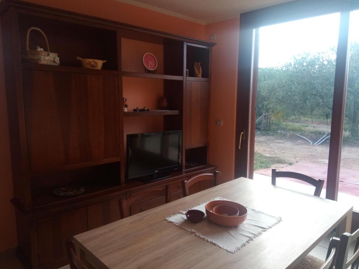 Degli Ulivi Apartment