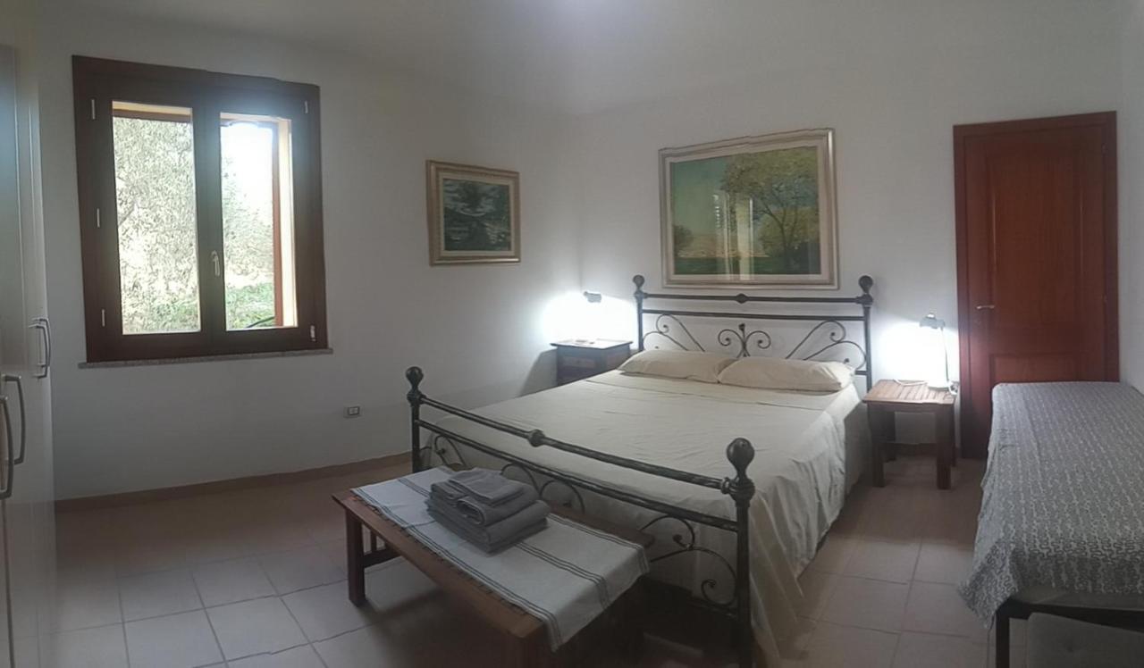 Degli Ulivi Apartment Ossi