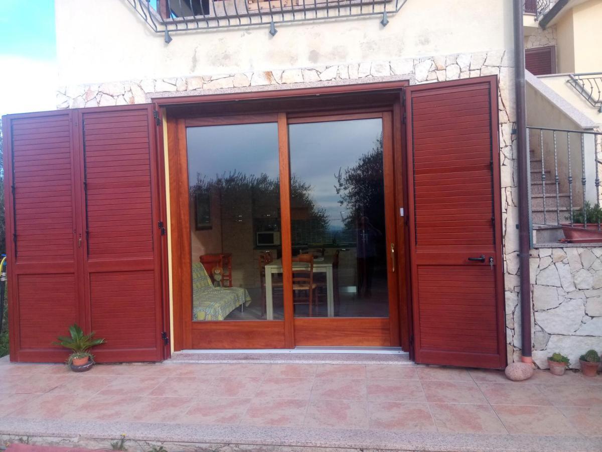 Degli Ulivi