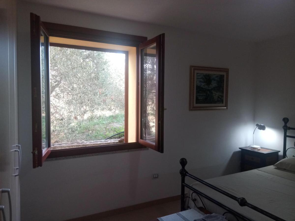 Apartment Degli Ulivi Ossi