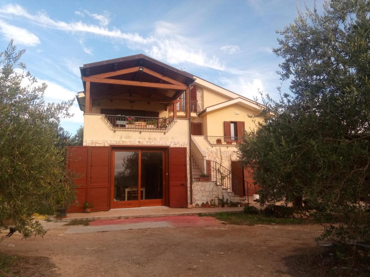 Apartment Degli Ulivi