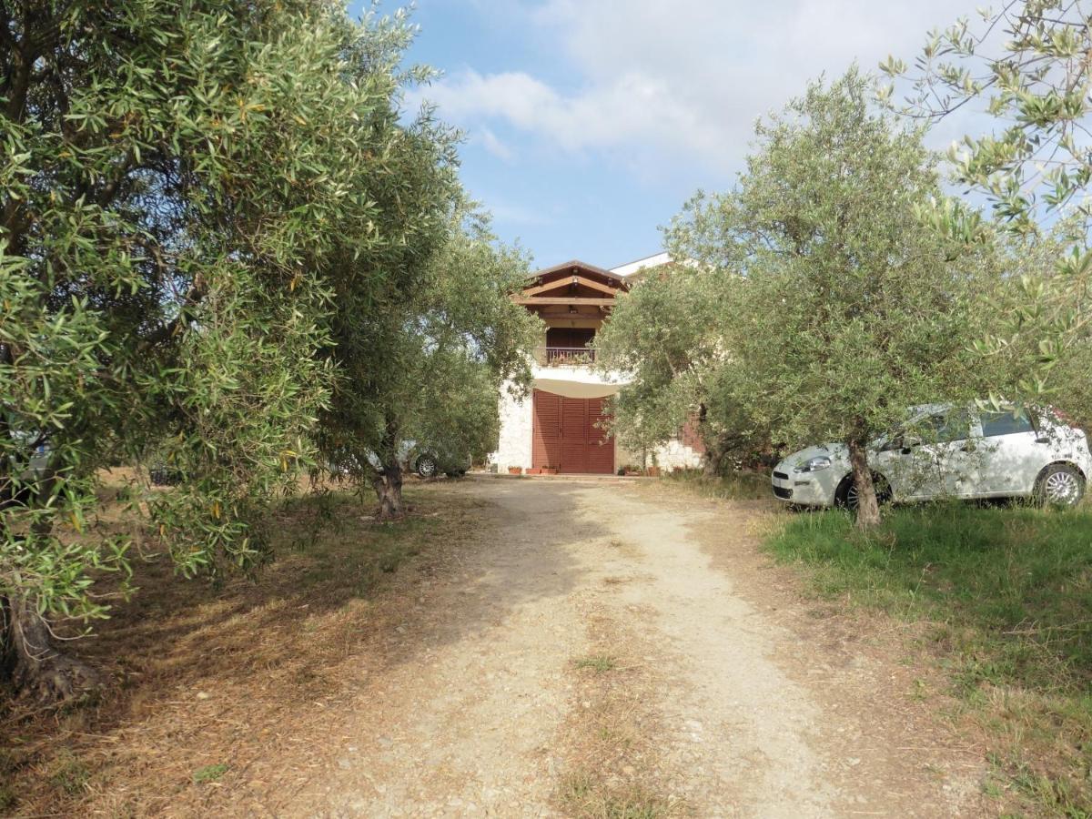Degli Ulivi Appartement *
