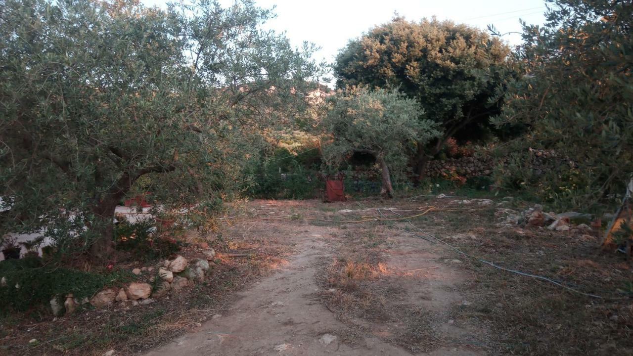 Appartement Degli Ulivi *